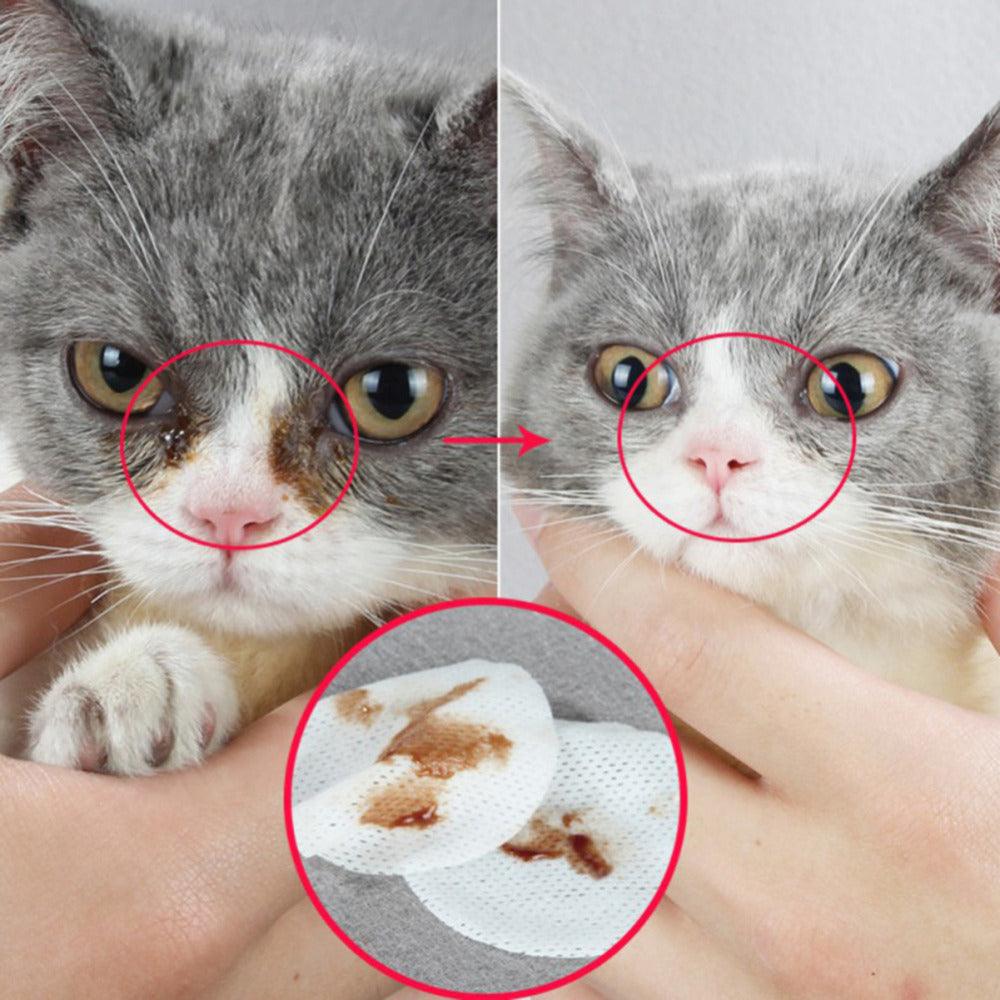 Radiantpaws Tear Stain Eliminator: Pet Eye Grooming Wipes For Dogs And Cats
