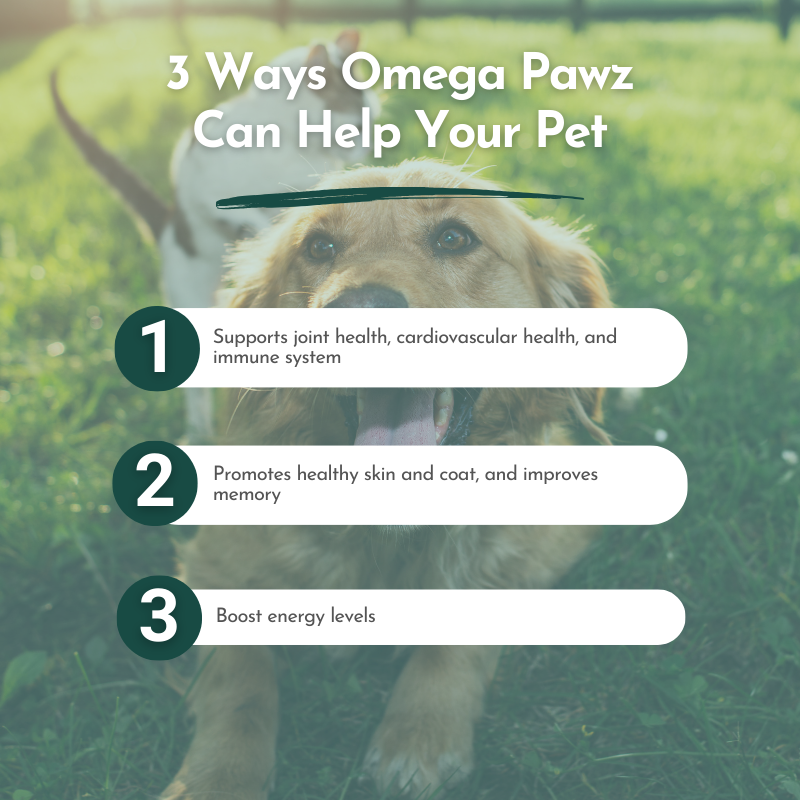 Omega Pawz by Dr. Ruth Roberts - Liquid Omega 3 Oil for Dogs and Cats