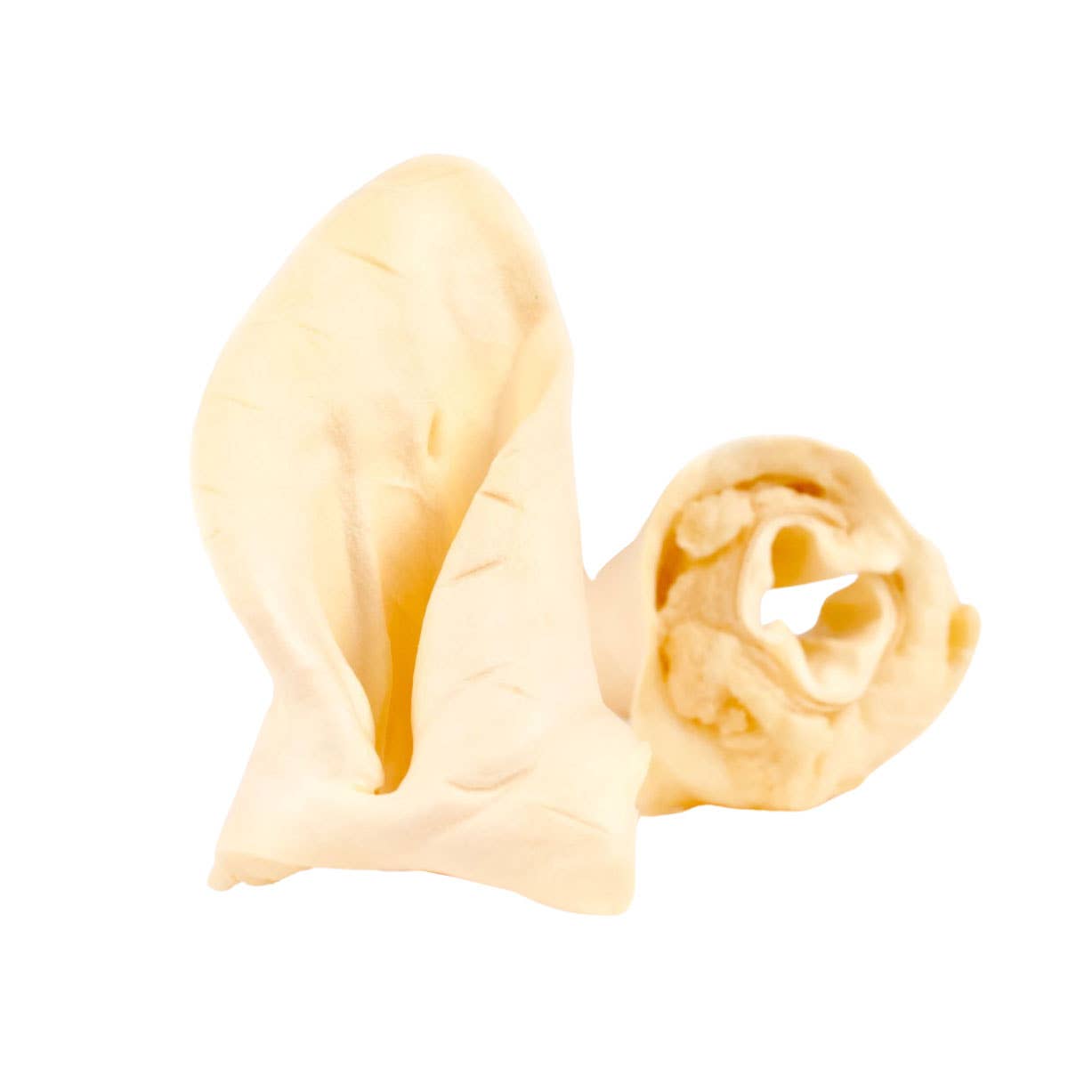 The Pet Gourmet Cow Ear