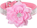 Rhinestone Sparkly Flower Dog Collar with Detachable Bloom
