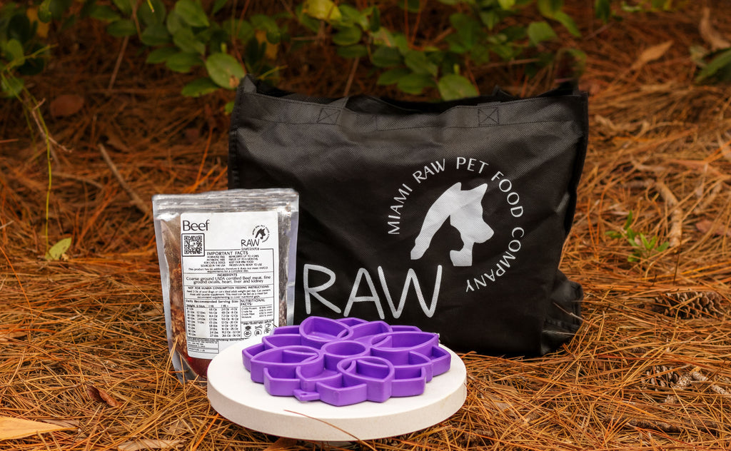 Raw Instincts Raw PMR Beef Meal Blend for Cats & Dogs — Prey Model Raw | Raw Instincts Florida