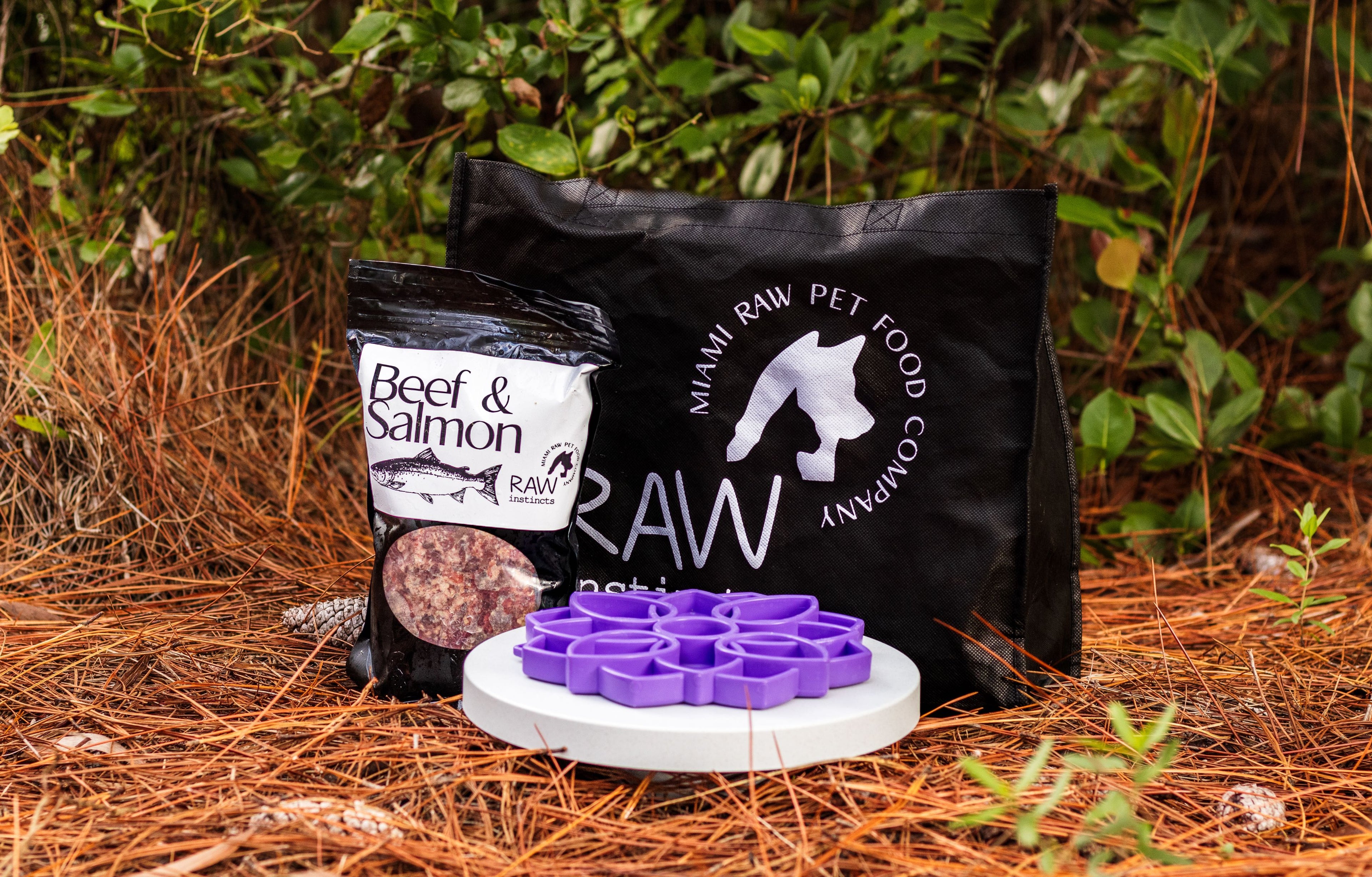 Raw Instinct Raw Beef & Wild-Caught Salmon Meal Blend for Cats & Dogs — Prey Model Raw | Raw Instincts Florida