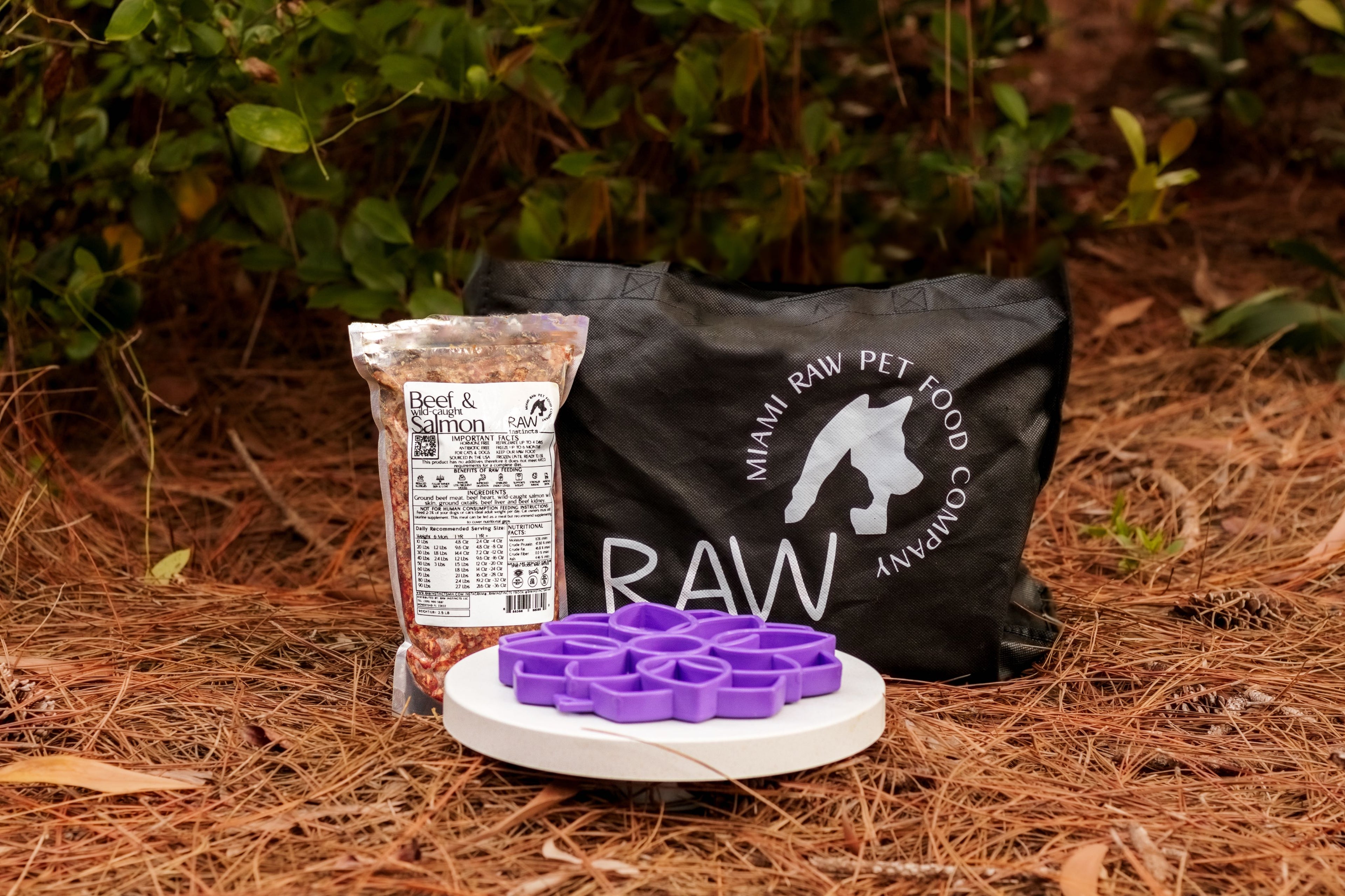 Raw Instinct Raw Beef & Wild-Caught Salmon Meal Blend for Cats & Dogs — Prey Model Raw | Raw Instincts Florida