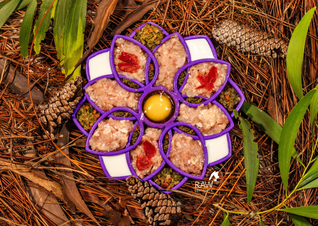 Raw Instincts Florida Raw Chicken & Turkey Meal Blend for Cats & Dogs — Prey Model Raw