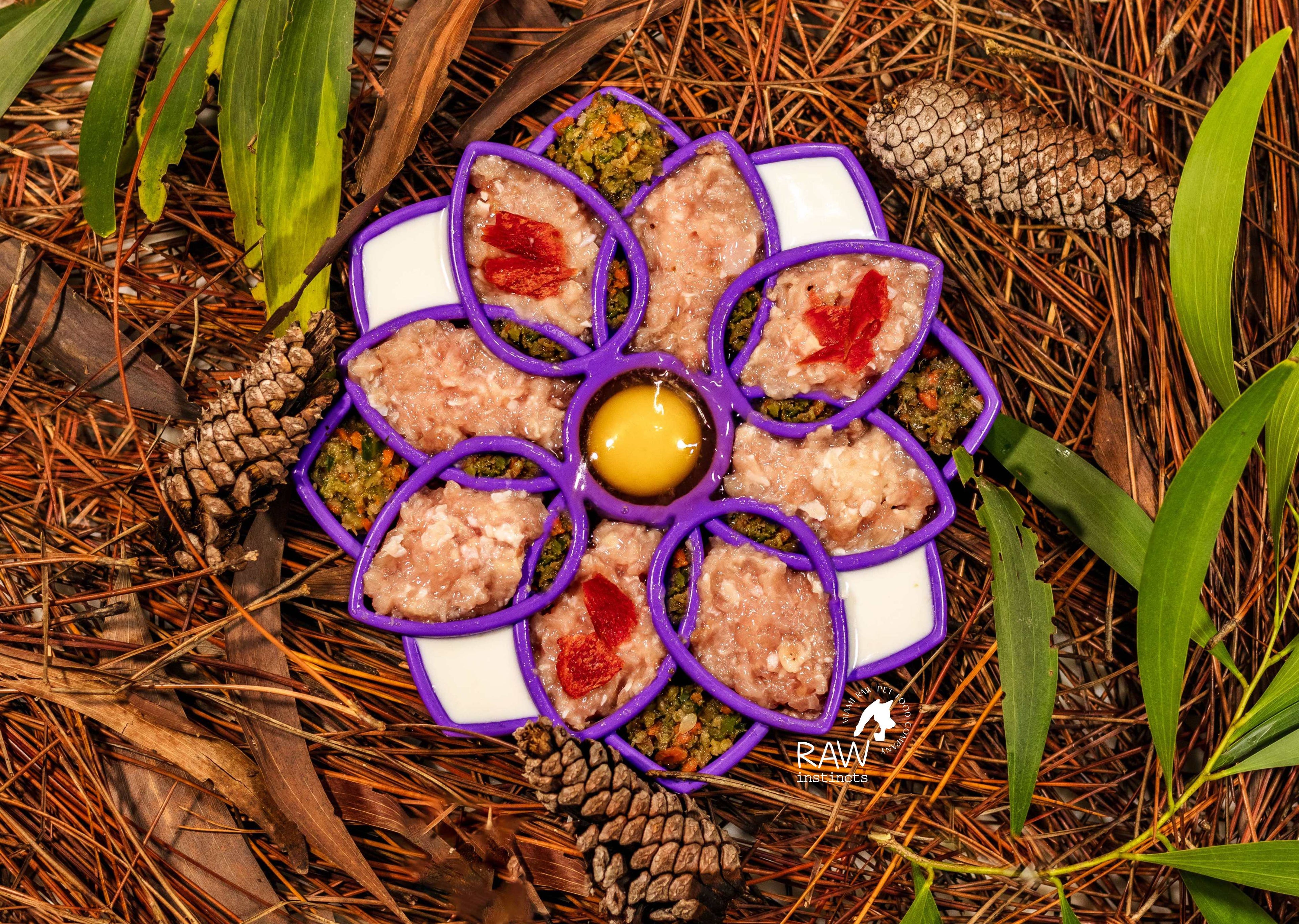 Raw Instincts Florida Raw Chicken & Turkey Meal Blend for Cats & Dogs — Prey Model Raw