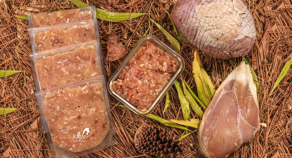Raw Instincts Florida Raw Chicken & Turkey Meal Blend for Cats & Dogs — Prey Model Raw