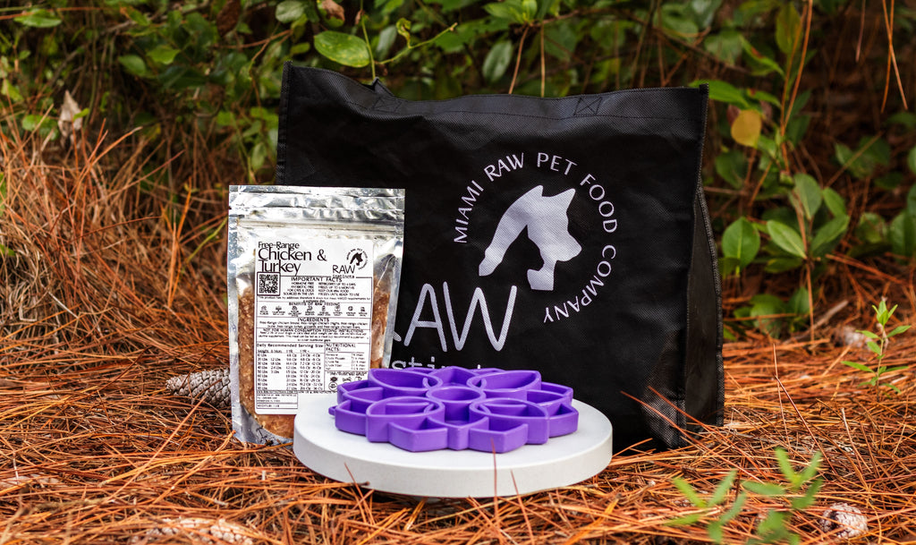 Raw Instincts Florida Raw Chicken & Turkey Meal Blend for Cats & Dogs — Prey Model Raw