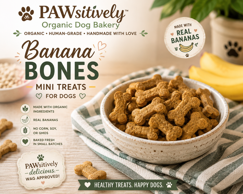 Harvest Bone Collection | Organic Dog Treat Variety Pack