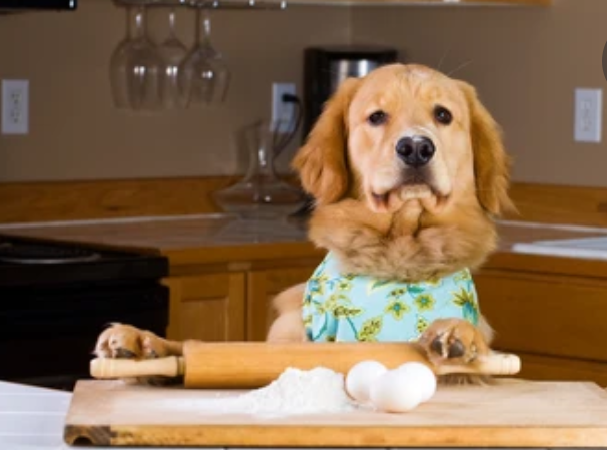 PAWsitively Organic Dog Bakery Macarons Organic Dog Treats