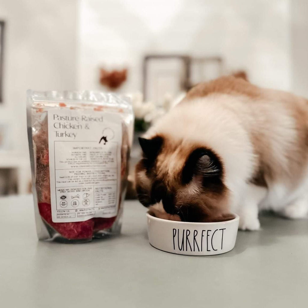Raw Instincts Florida Raw Chicken & Turkey Meal Blend for Cats & Dogs — Prey Model Raw
