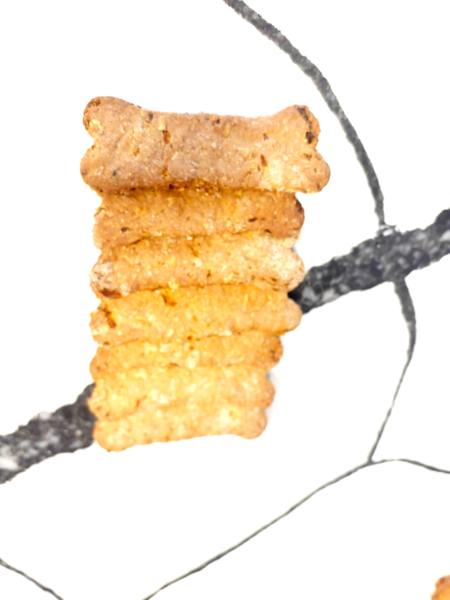 PAWsitively Organic Dog Bakery Organic Apple Carrot Bones