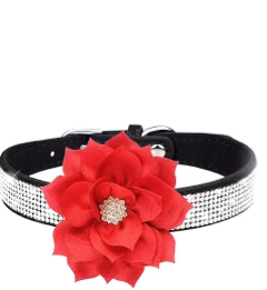 Rhinestone Sparkly Flower Dog Collar with Detachable Bloom