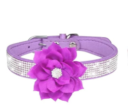 Rhinestone Sparkly Flower Dog Collar with Detachable Bloom