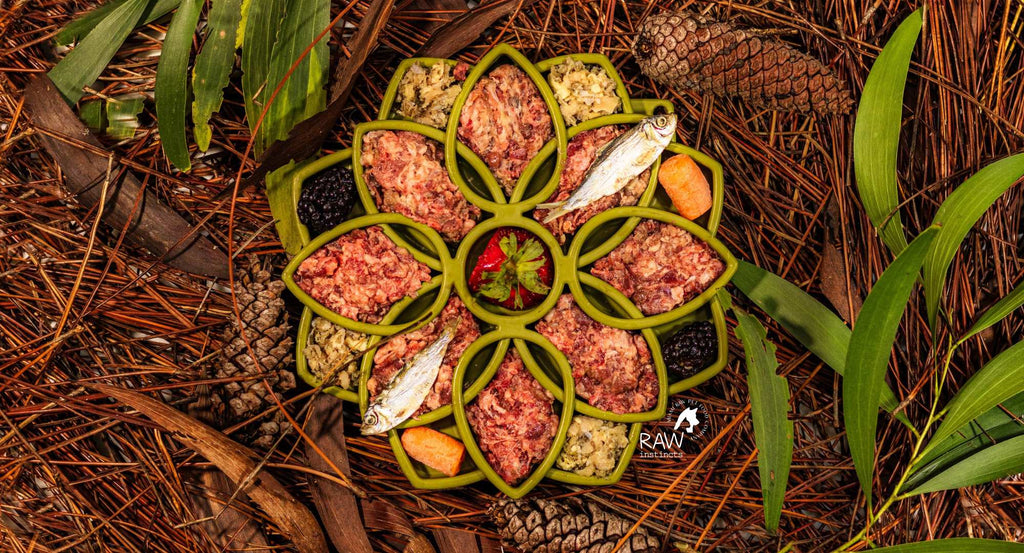 Raw Instinct Raw Beef & Wild-Caught Salmon Meal Blend for Cats & Dogs — Prey Model Raw | Raw Instincts Florida