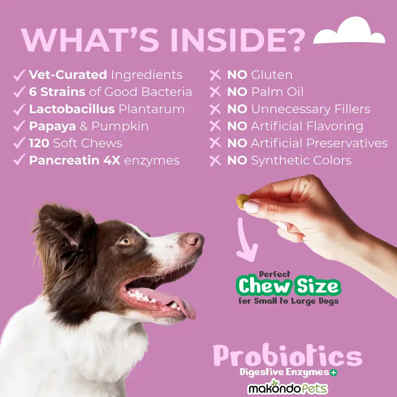 Makondo Pets Dog Probiotics Digestive Enzymes - 120 Soft Chews